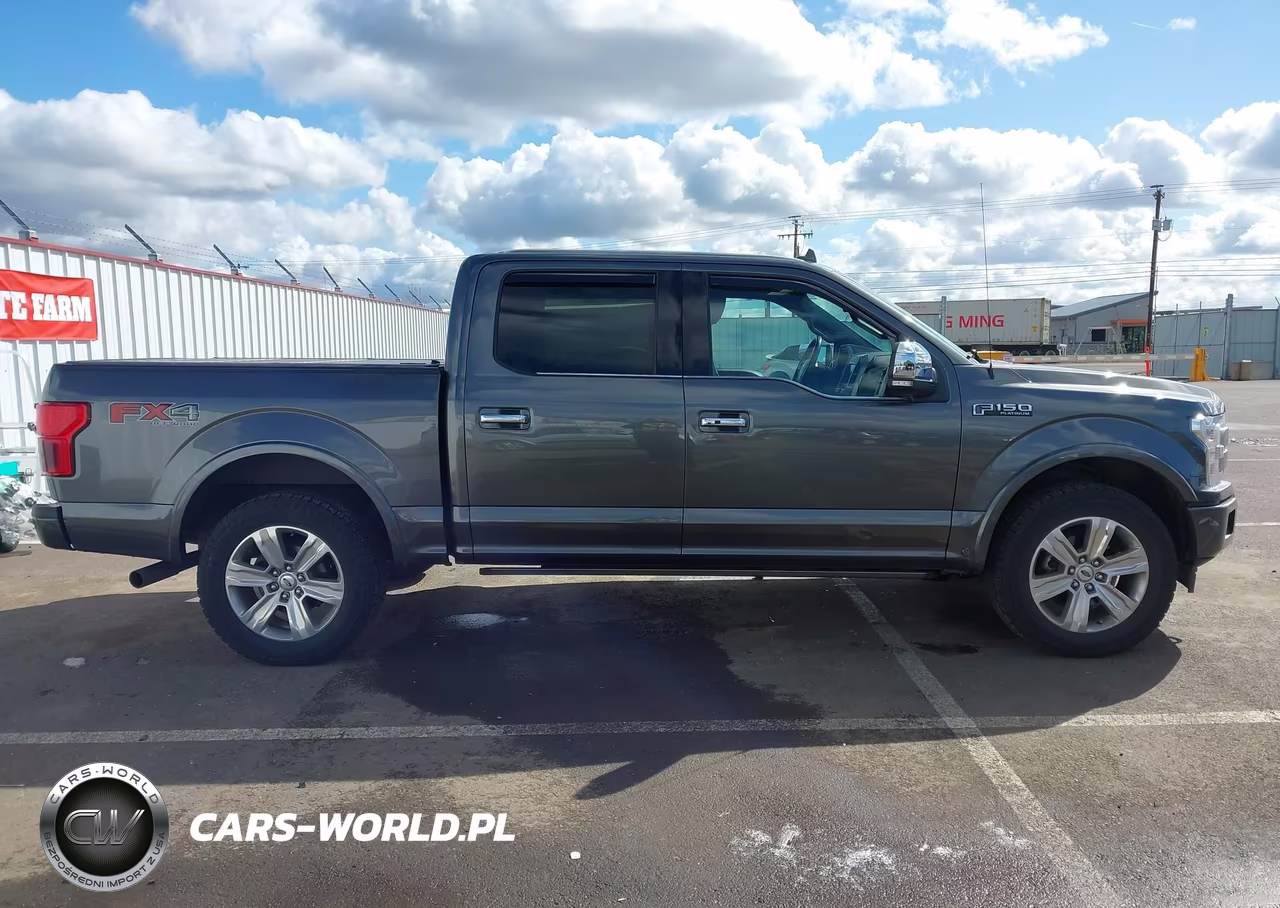 2019 Ford F-150 Platinum VIN:1FTEW1E40KFB96012 - 14