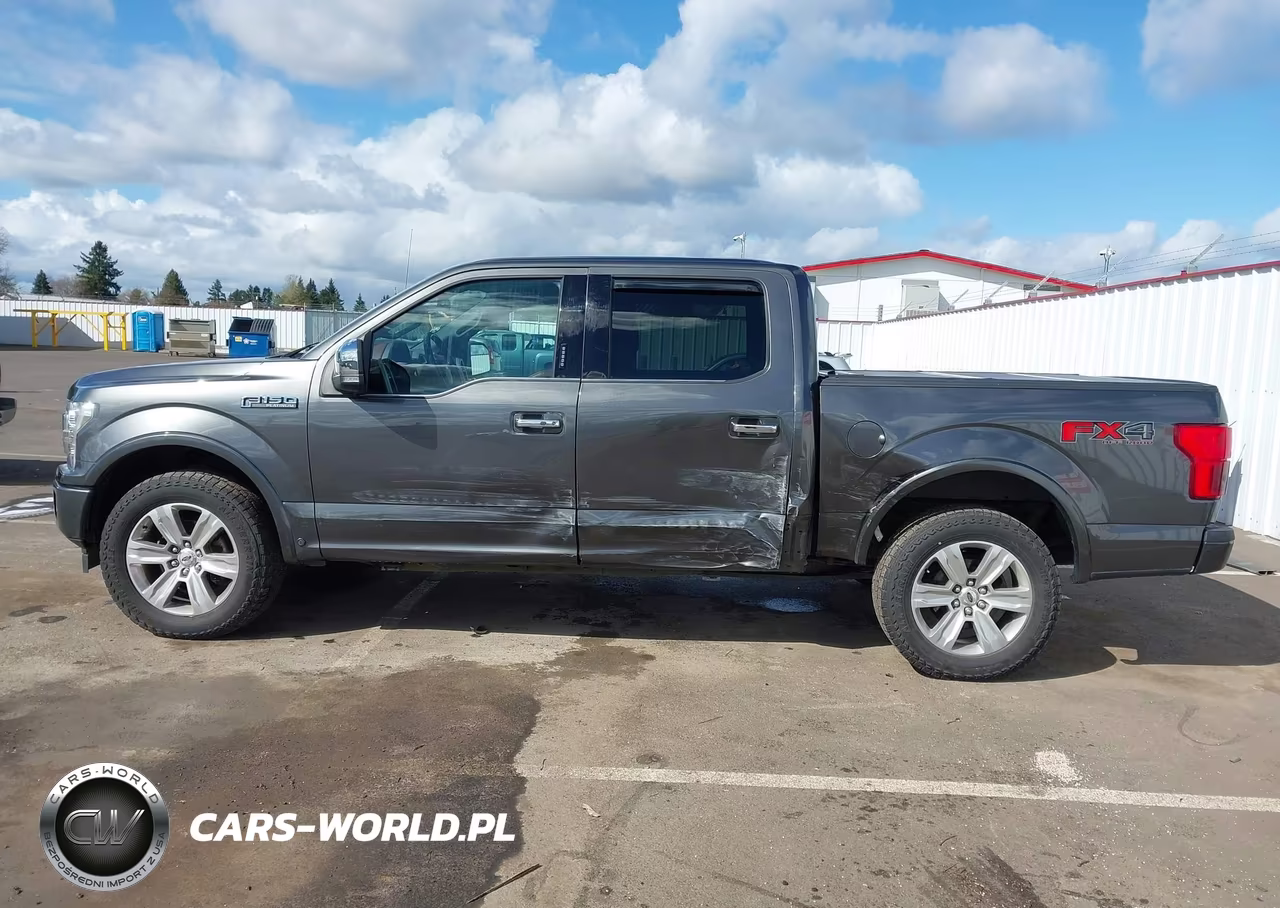 2019 Ford F-150 Platinum VIN:1FTEW1E40KFB96012 - 15