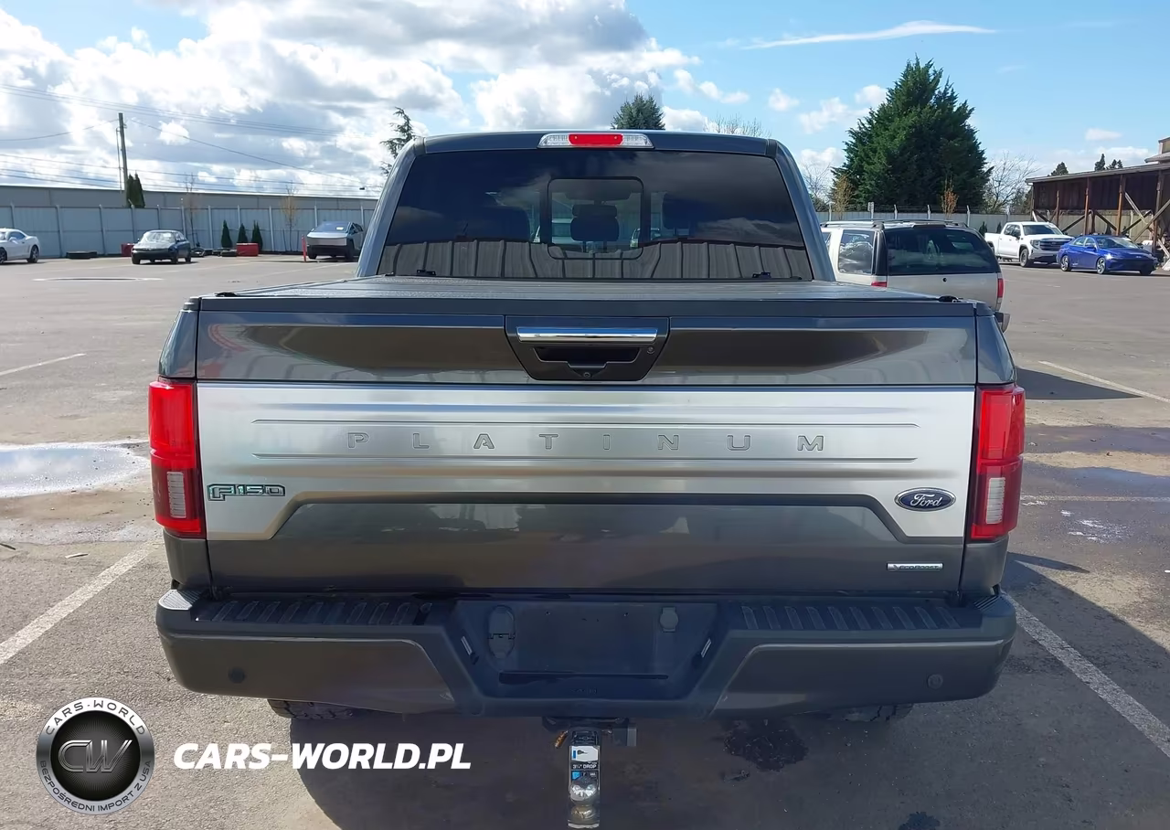 2019 Ford F-150 Platinum VIN:1FTEW1E40KFB96012 - 17