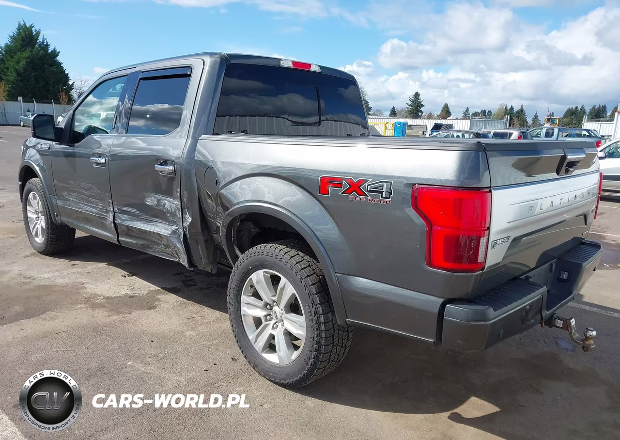 2019 Ford F-150 Platinum VIN:1FTEW1E40KFB96012 - 3