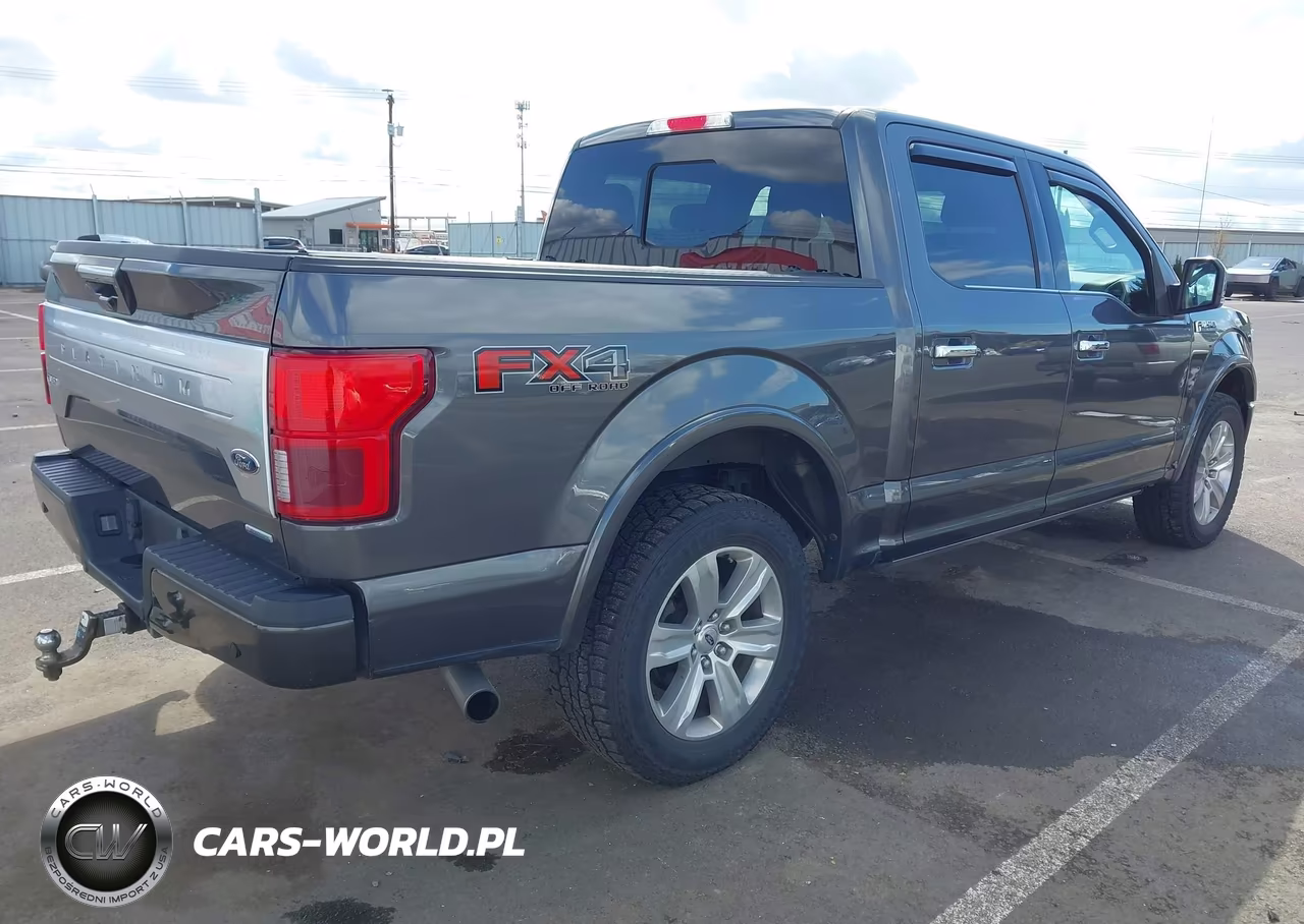 2019 Ford F-150 Platinum VIN:1FTEW1E40KFB96012 - 4