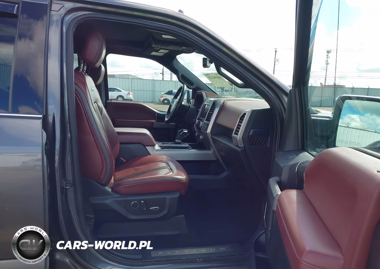 2019 Ford F-150 Platinum VIN:1FTEW1E40KFB96012 - 5