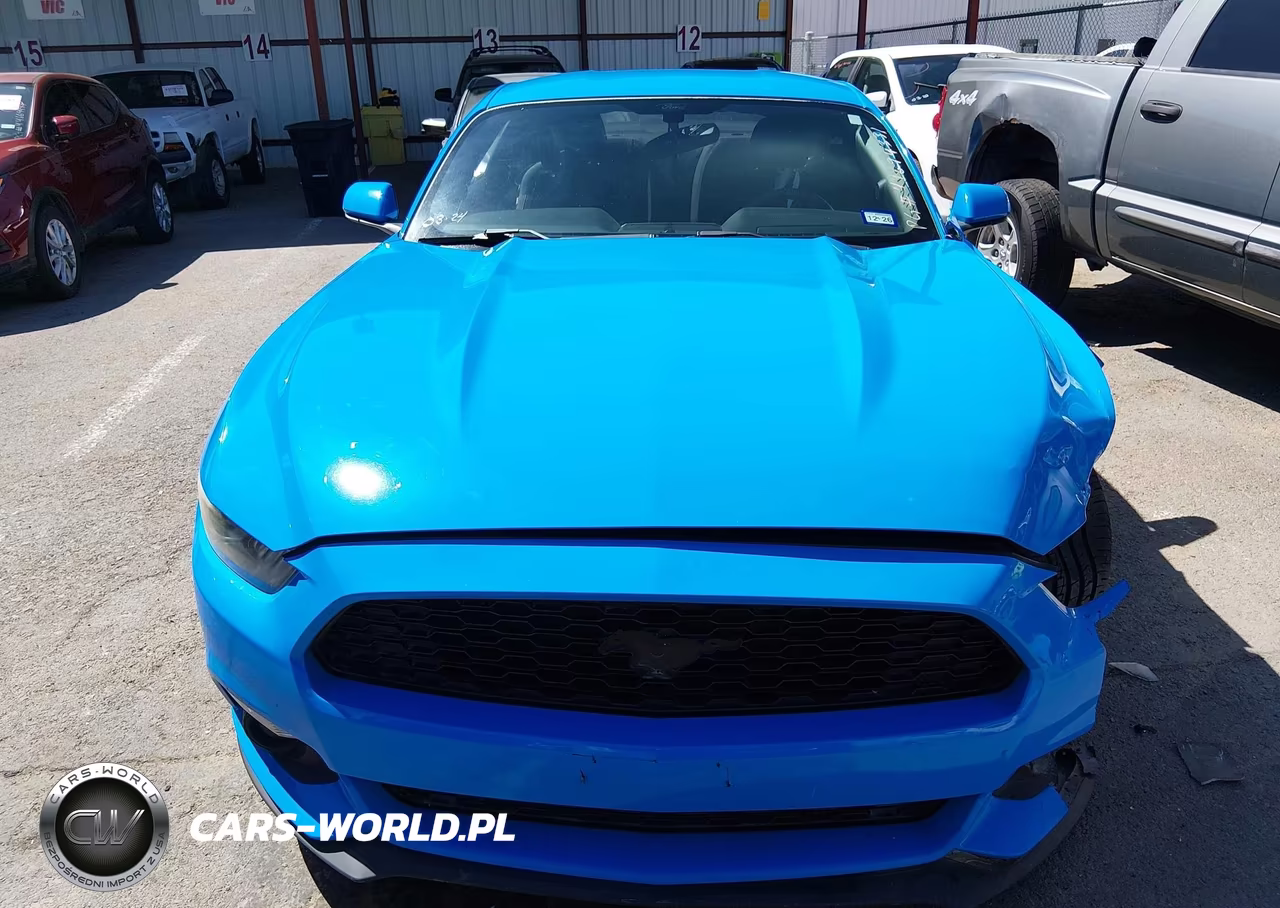 2017 Ford Mustang Ecoboost VIN:1FA6P8TH4H5259651 - 12