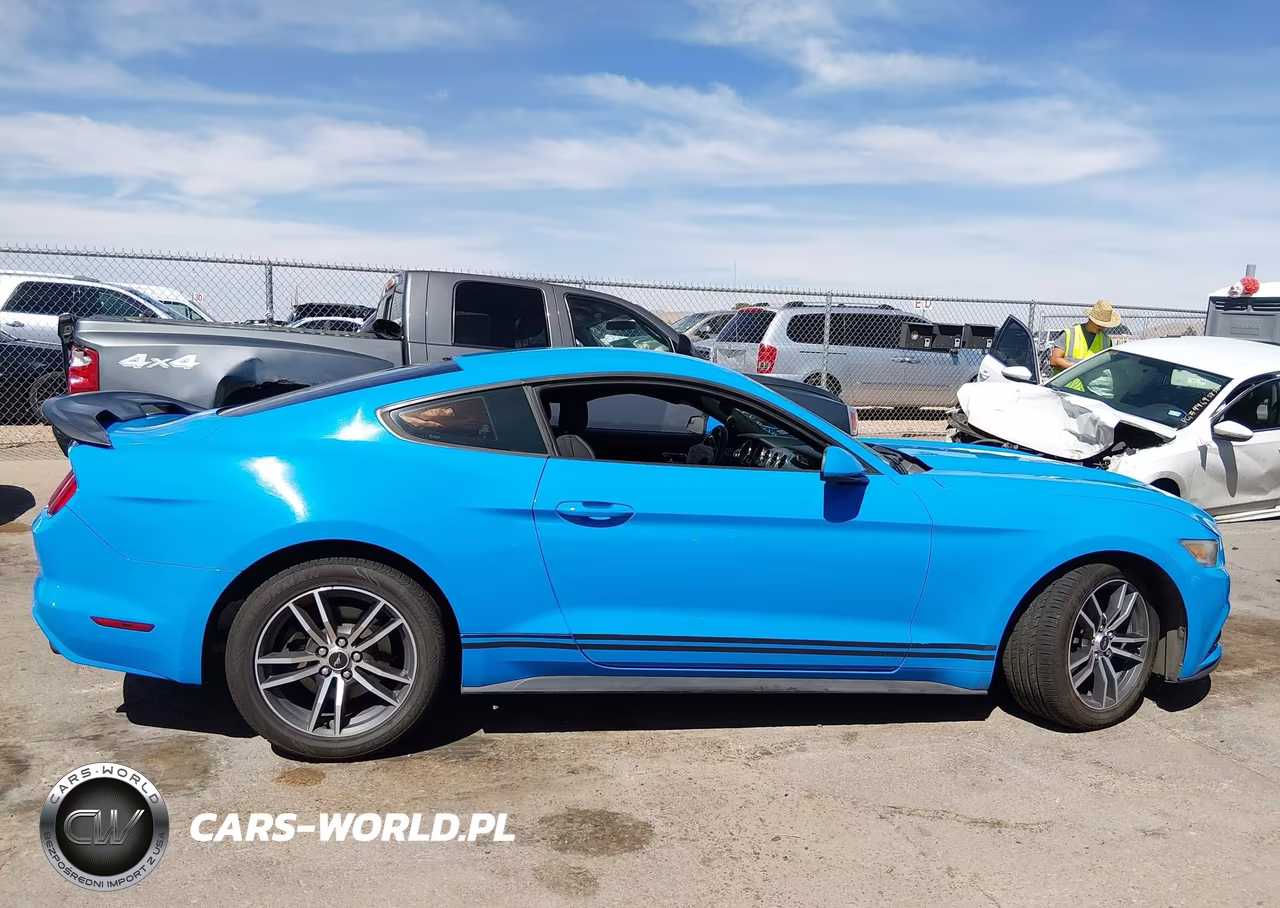2017 Ford Mustang Ecoboost VIN:1FA6P8TH4H5259651 - 13
