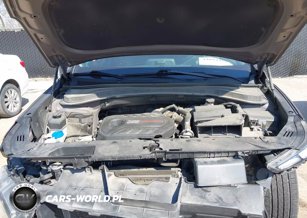 2020 Hyundai Santa Fe Limited 2.0T VIN:5NMS53AA9LH196950 - 10