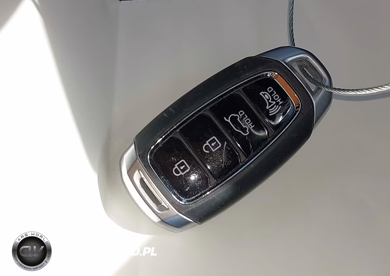 2020 Hyundai Santa Fe Limited 2.0T VIN:5NMS53AA9LH196950 - 11