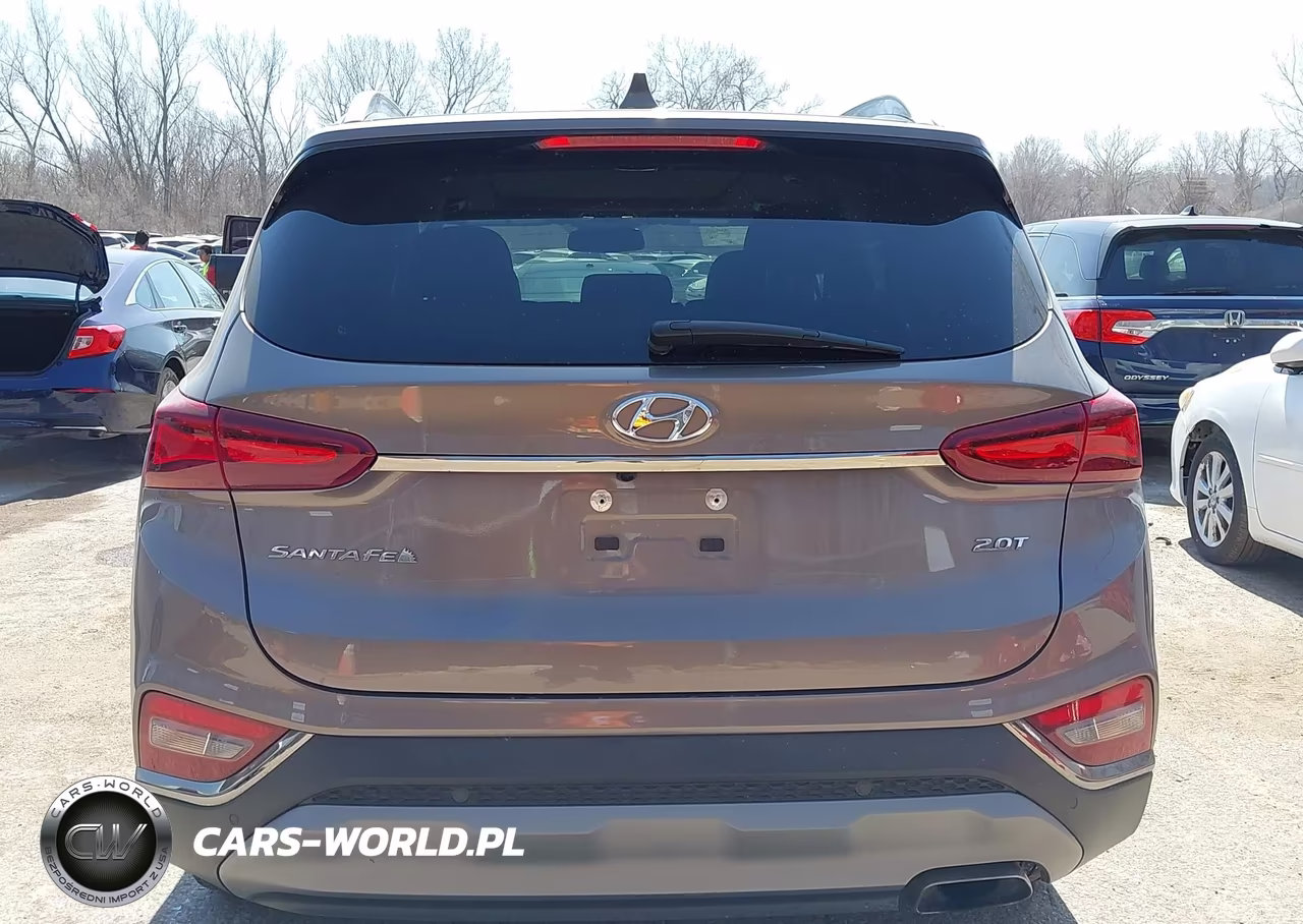 2020 Hyundai Santa Fe Limited 2.0T VIN:5NMS53AA9LH196950 - 17