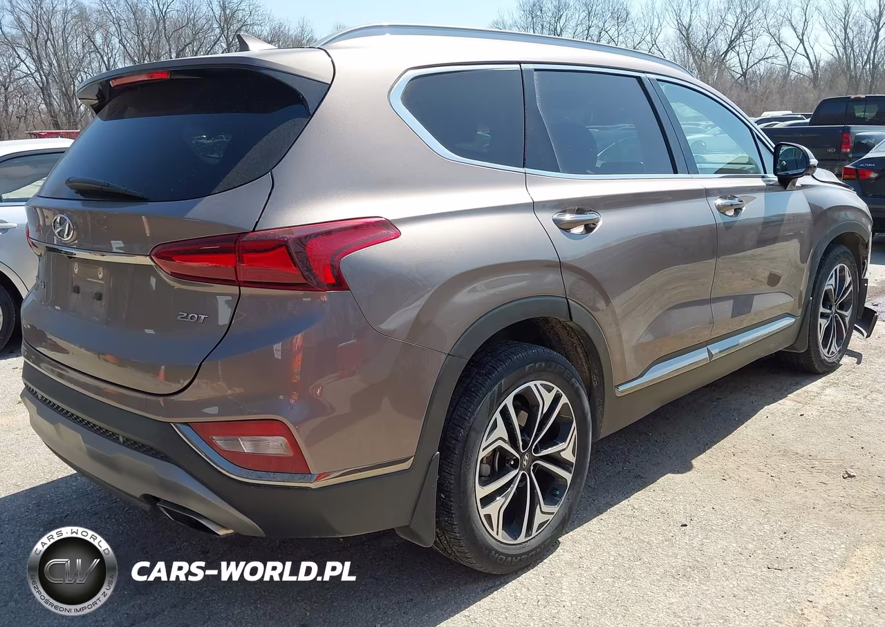 2020 Hyundai Santa Fe Limited 2.0T VIN:5NMS53AA9LH196950 - 4