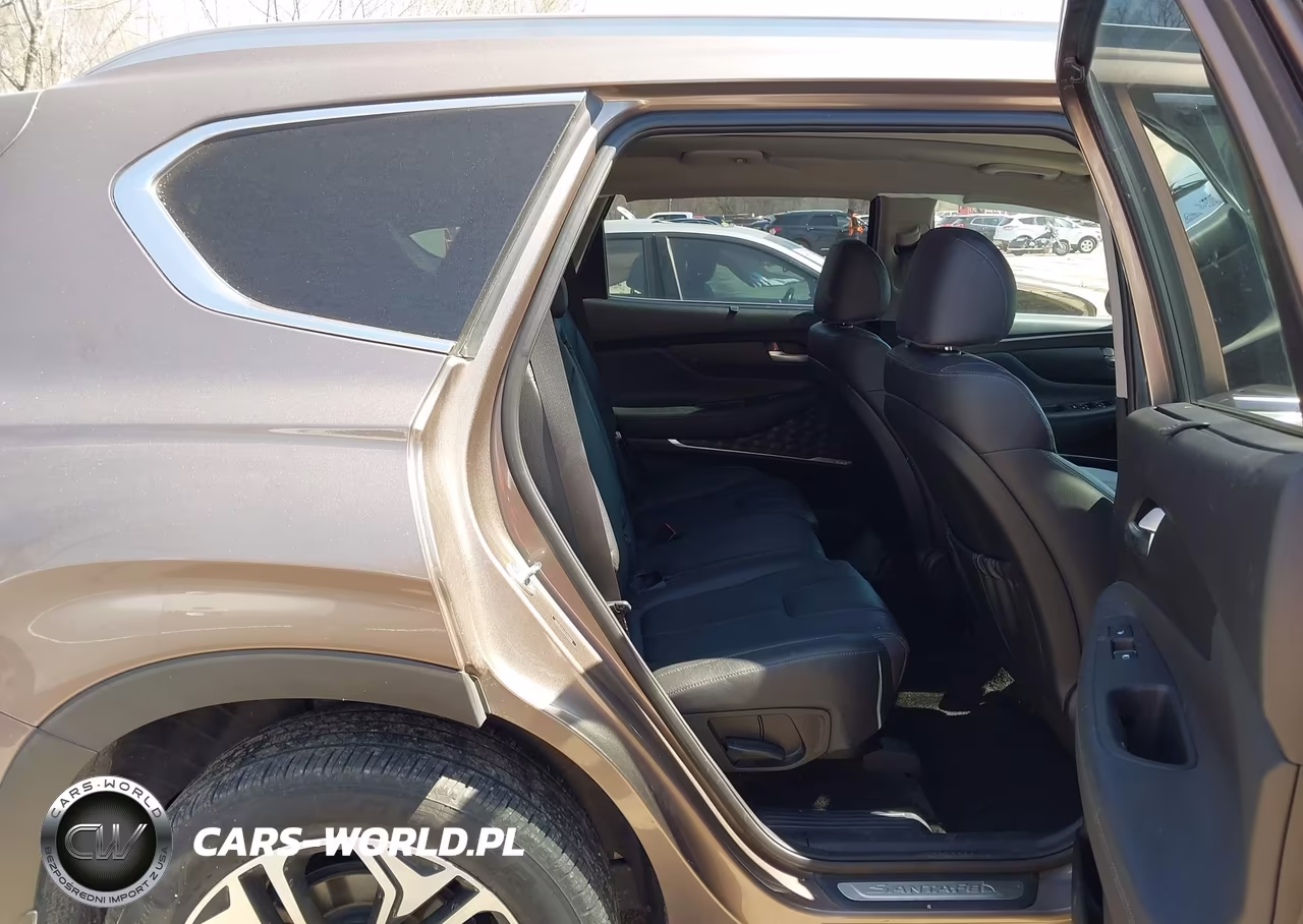 2020 Hyundai Santa Fe Limited 2.0T VIN:5NMS53AA9LH196950 - 8