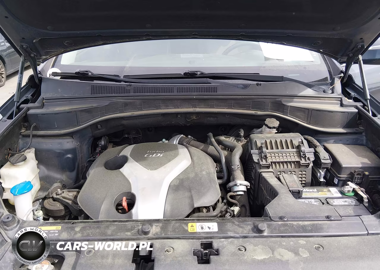 2016 Hyundai Santa Fe Sport 2.0L Turbo VIN:5XYZUDLA0GG314646 - 10