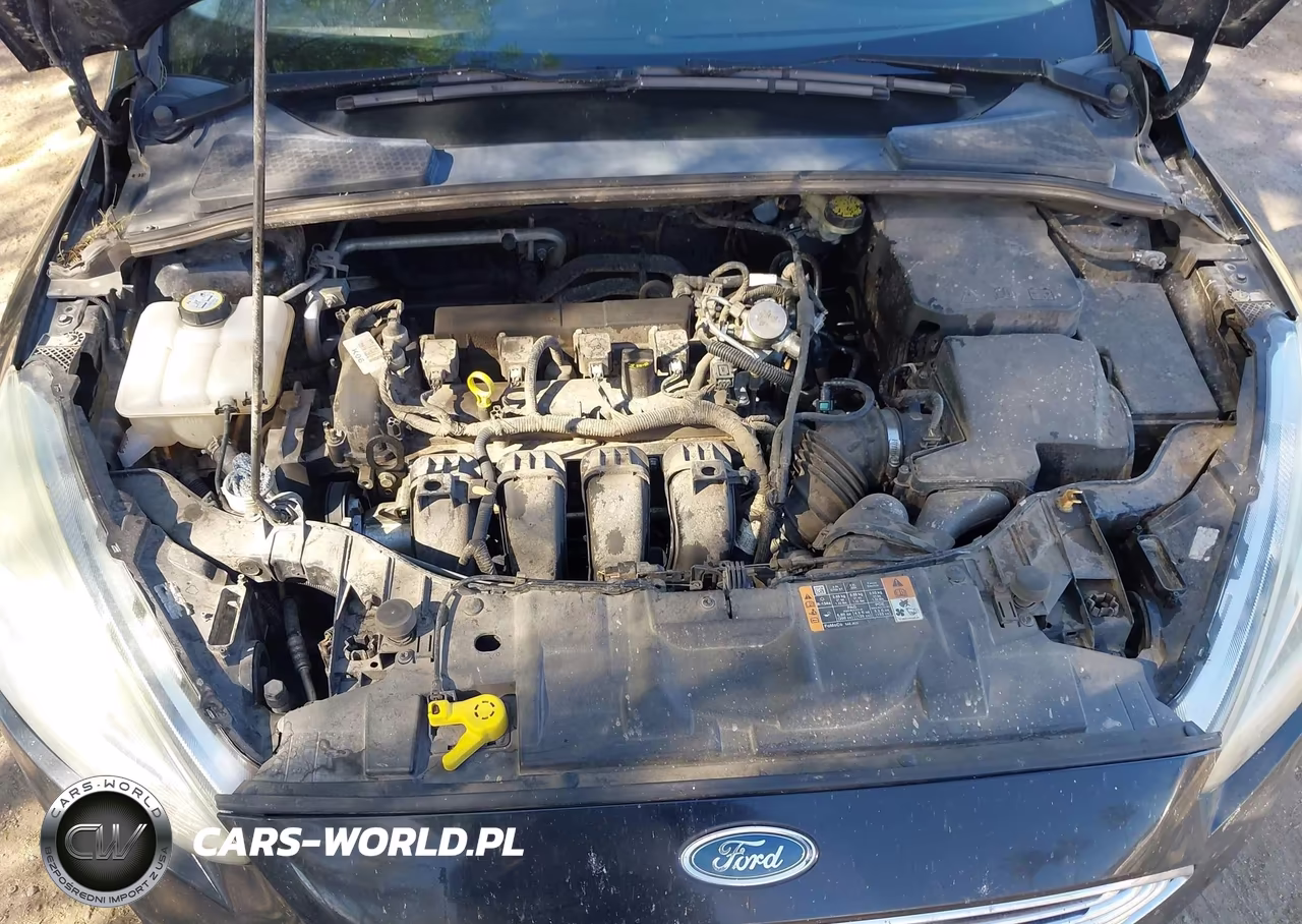 2016 Ford Focus Titanium VIN:1FADP3N22GL395919 - 10