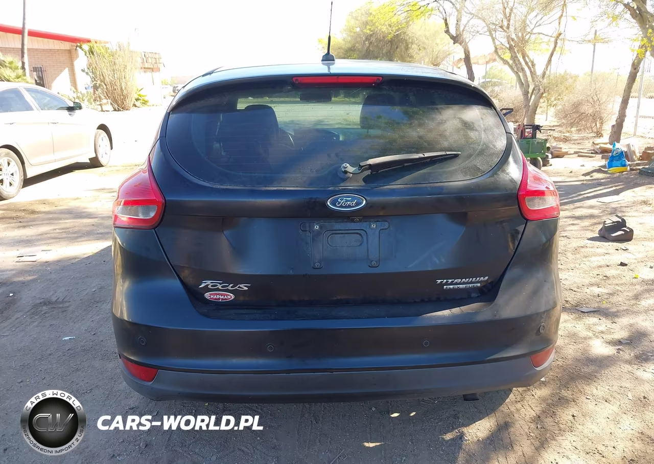 2016 Ford Focus Titanium VIN:1FADP3N22GL395919 - 17