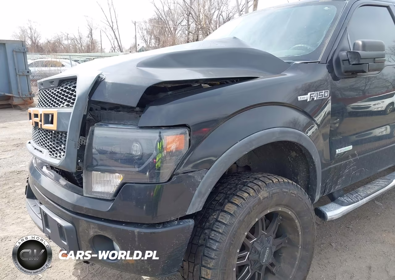 2014 Ford F-150 Fx4 VIN:1FTFW1ETXEKG55120 - 6