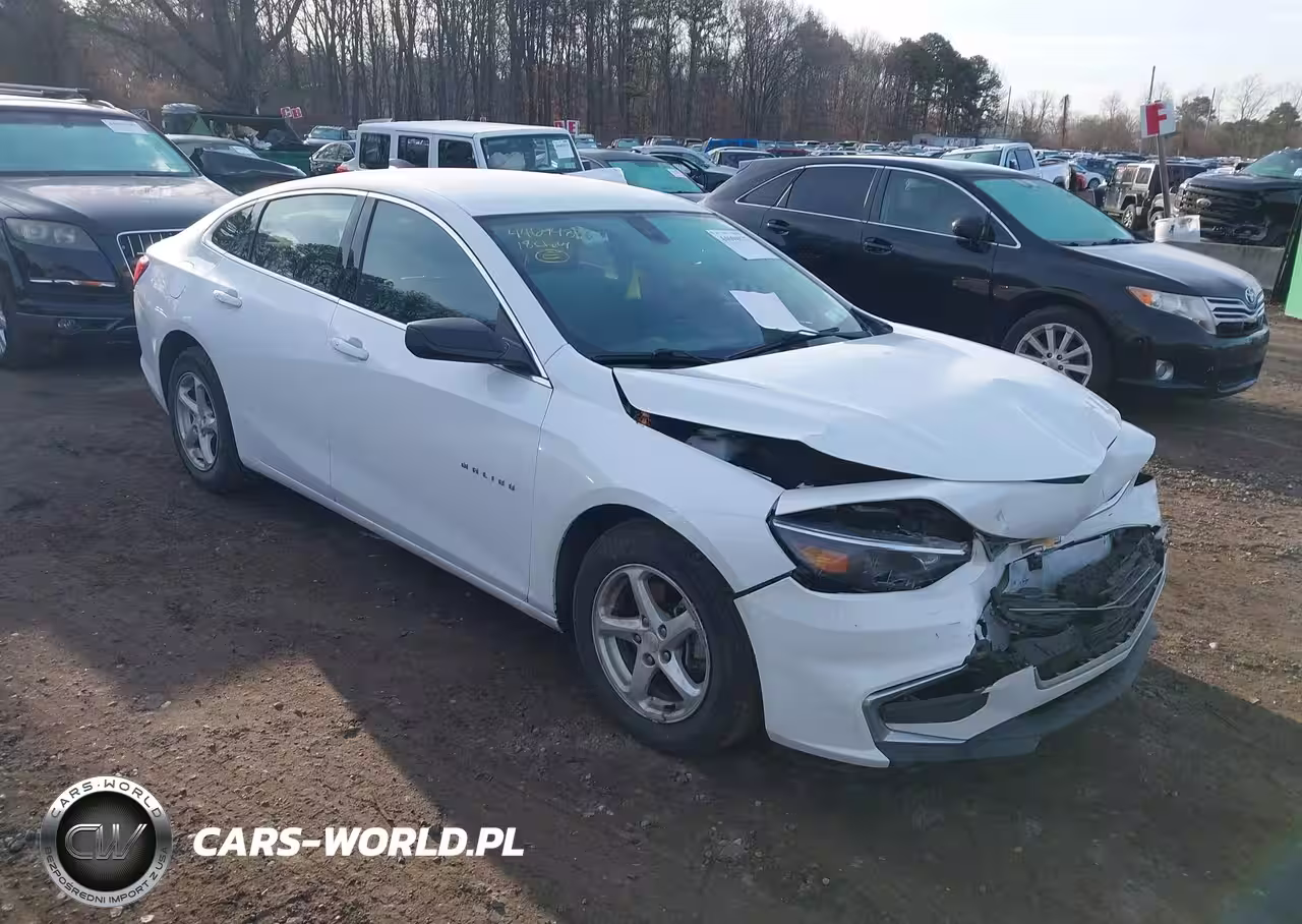 2018 Chevrolet Malibu 1Fl