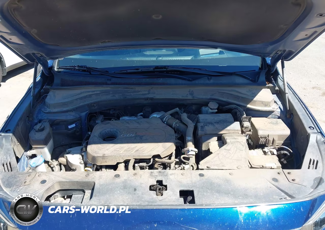 2020 Hyundai Santa Fe Limited 2.0T VIN:5NMS5CAAXLH206787 - 10