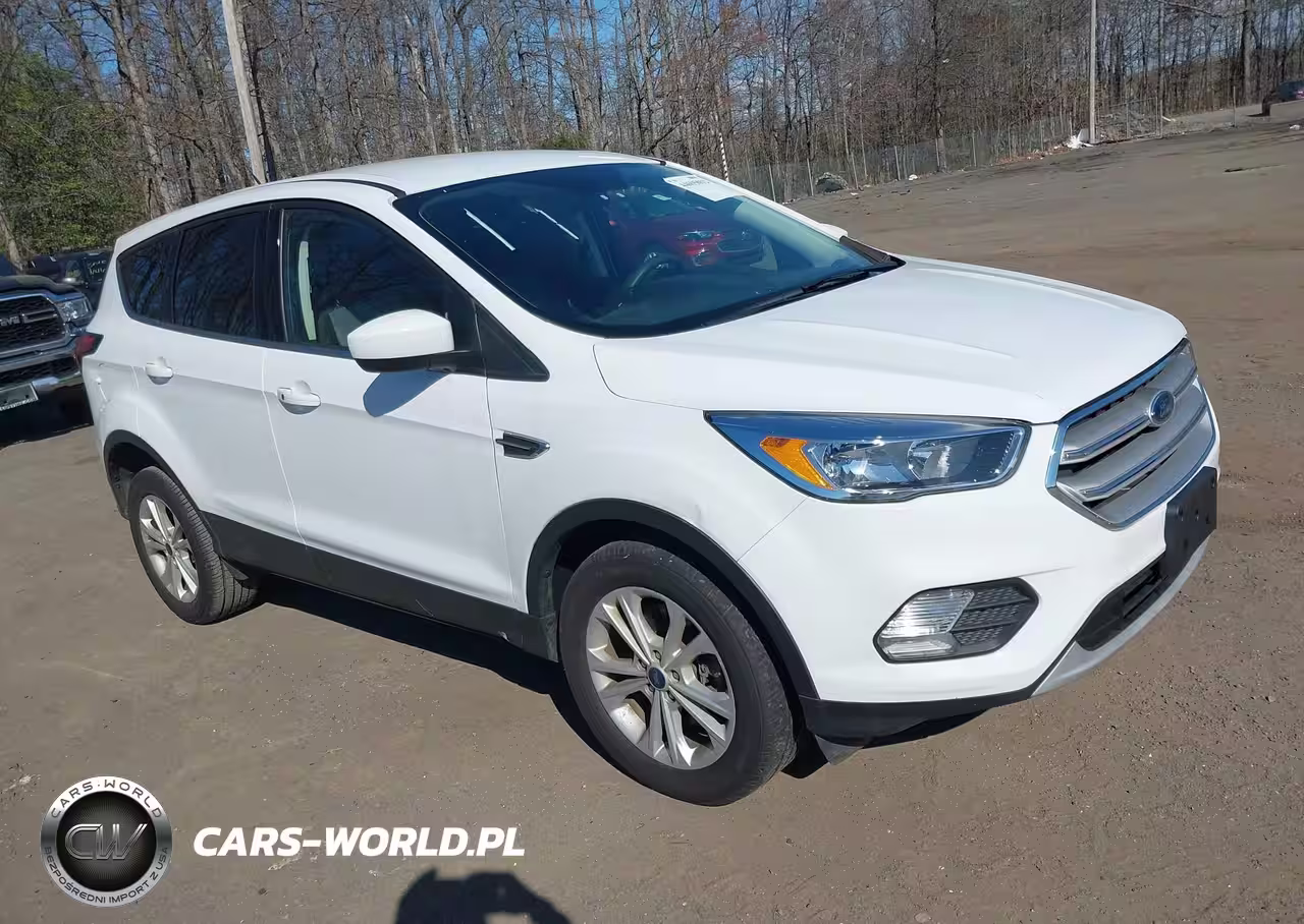 2019 Ford Escape Se