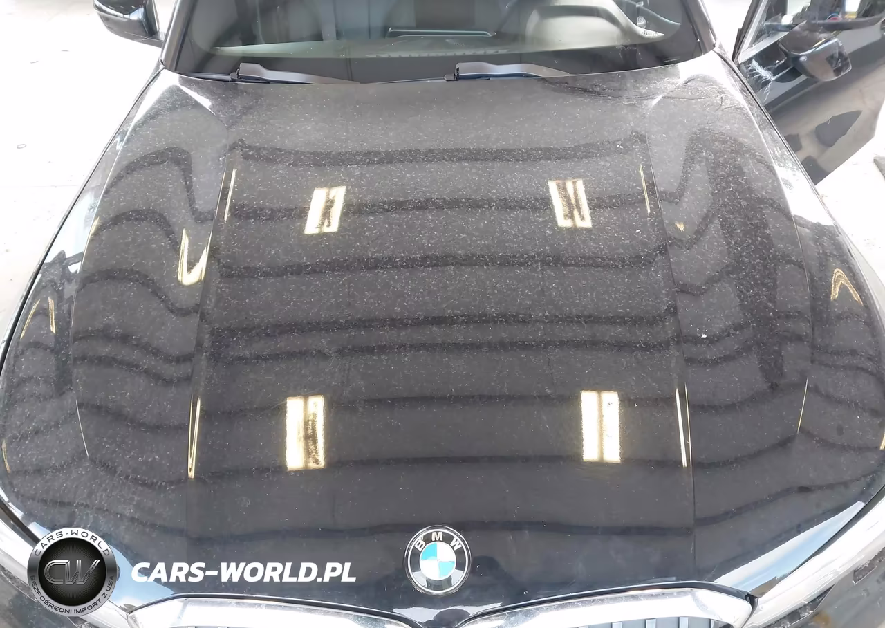 2020 BMW 330I VIN:3MW5R1J08L8B03884 - 10
