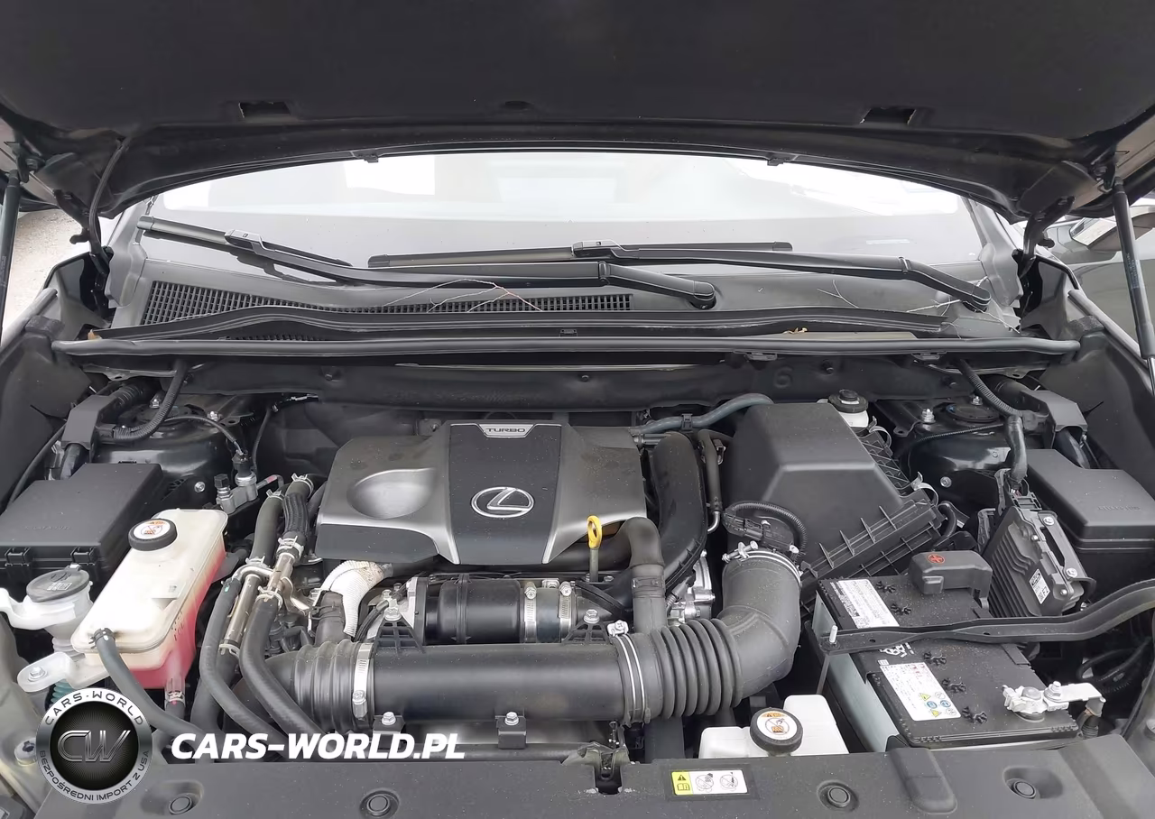 2021 Lexus Nx 300 VIN:JTJDARBZ8M2199109 - 10
