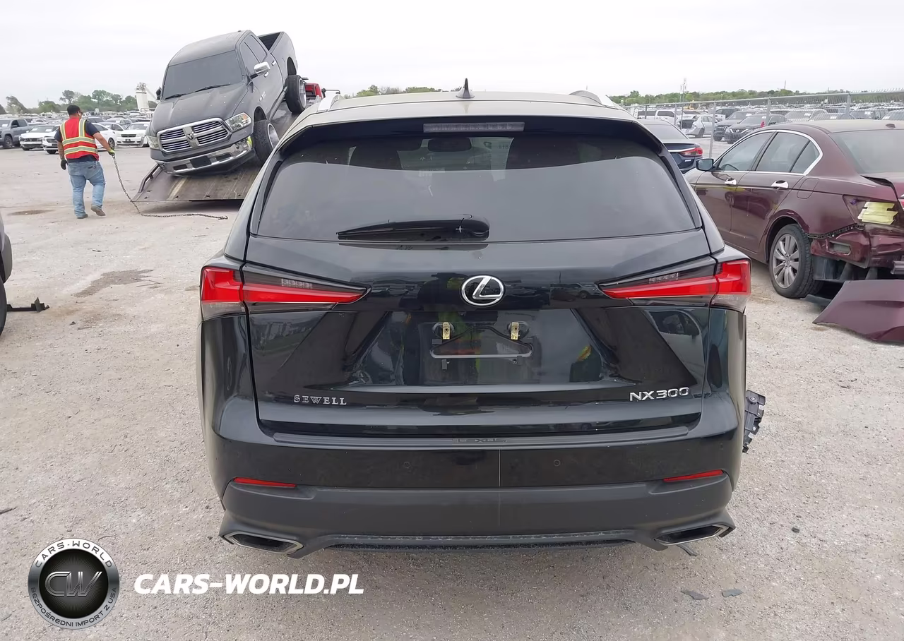 2021 Lexus Nx 300 VIN:JTJDARBZ8M2199109 - 16
