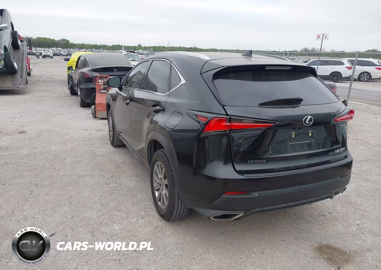 2021 Lexus Nx 300 VIN:JTJDARBZ8M2199109 - 3