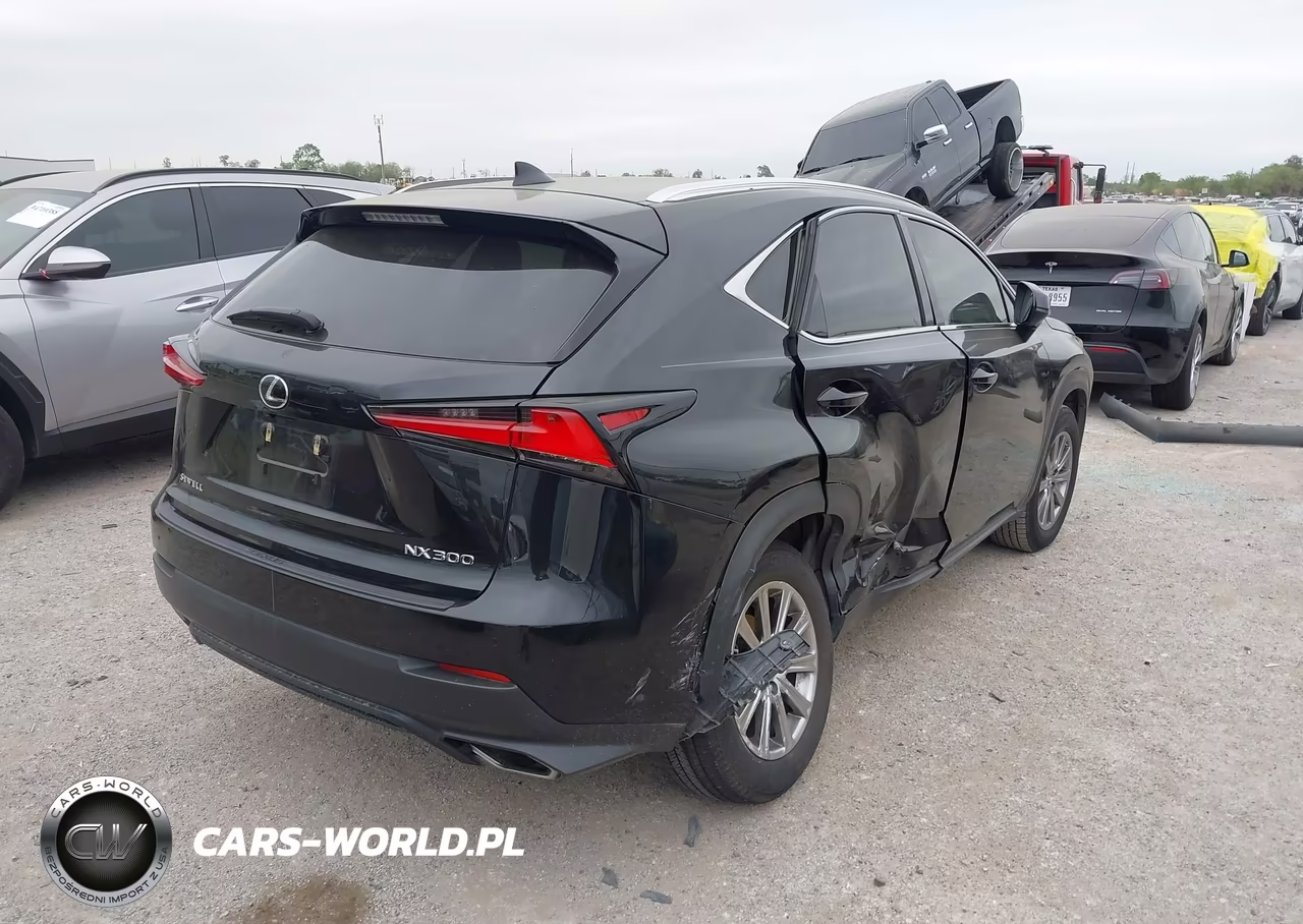 2021 Lexus Nx 300 VIN:JTJDARBZ8M2199109 - 4