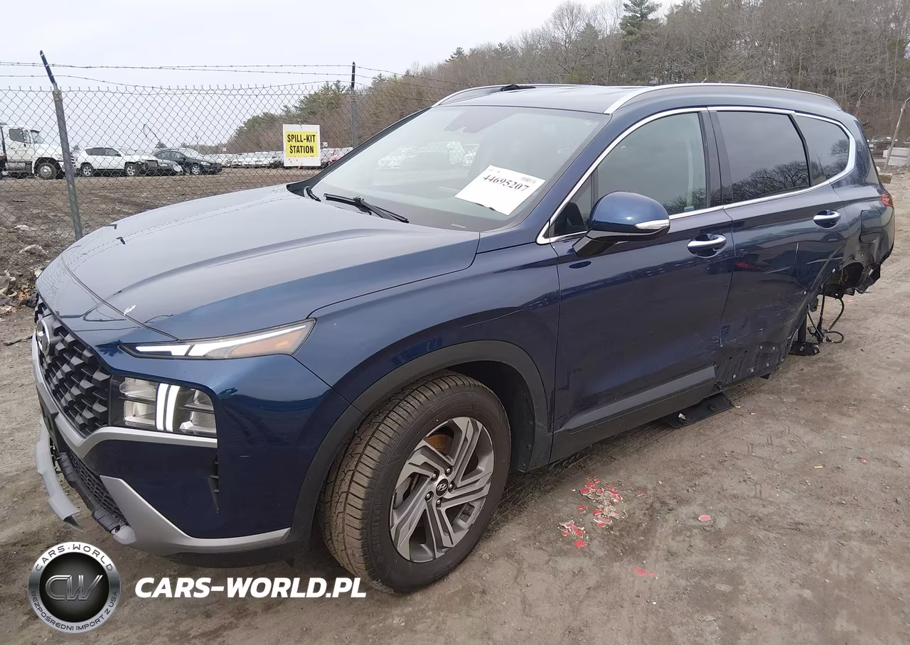2023 Hyundai Santa Fe Sel VIN:5NMS2DAJ7PH545706 - 2