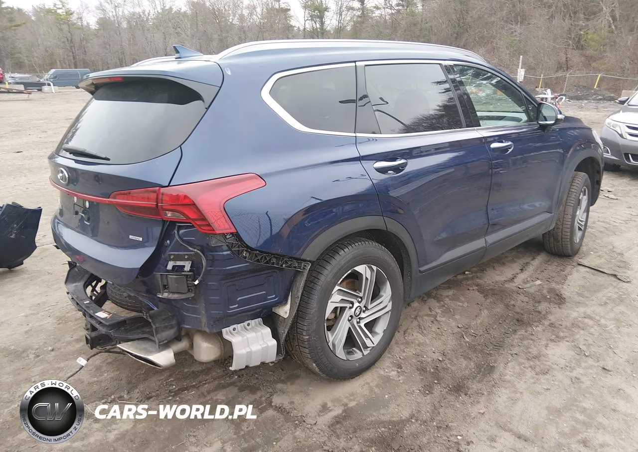 2023 Hyundai Santa Fe Sel VIN:5NMS2DAJ7PH545706 - 4