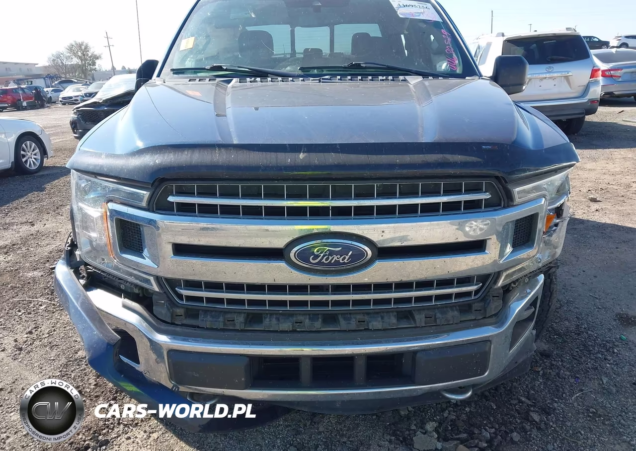 2019 Ford F-150 Xlt VIN:1FTEW1E41KKE34912 - 12