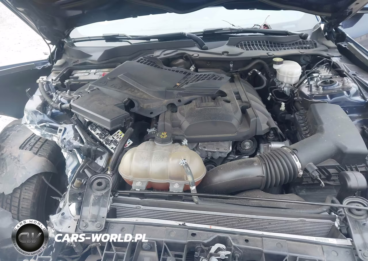 2019 Ford Mustang Ecoboost VIN:1FA6P8TH7K5200603 - 10