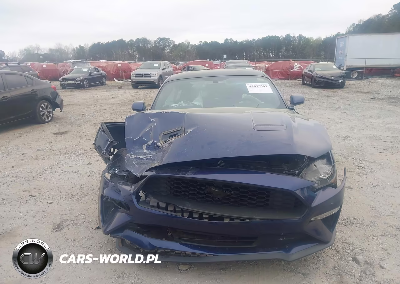 2019 Ford Mustang Ecoboost VIN:1FA6P8TH7K5200603 - 12
