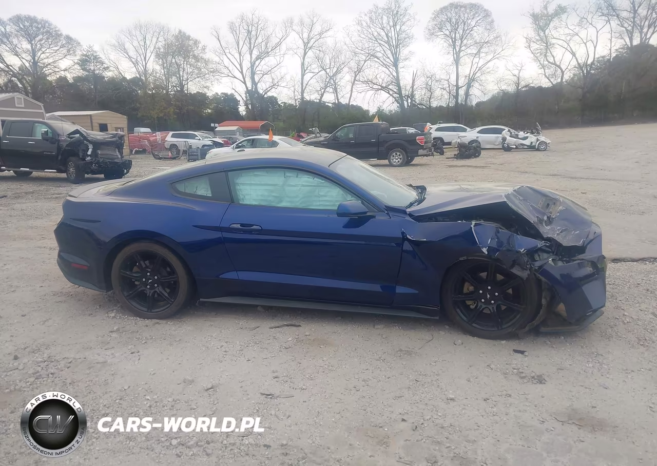 2019 Ford Mustang Ecoboost VIN:1FA6P8TH7K5200603 - 13