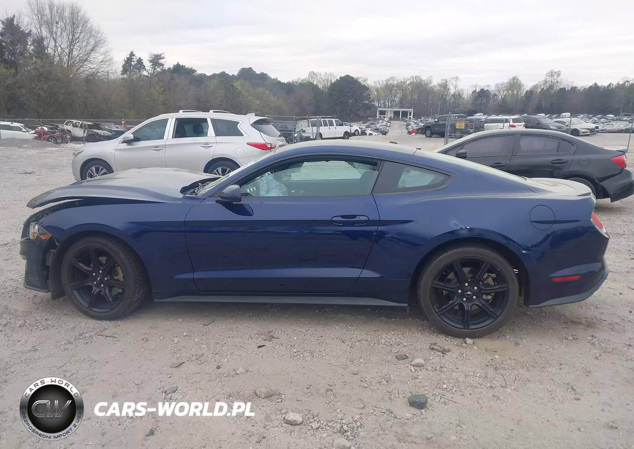2019 Ford Mustang Ecoboost VIN:1FA6P8TH7K5200603 - 14