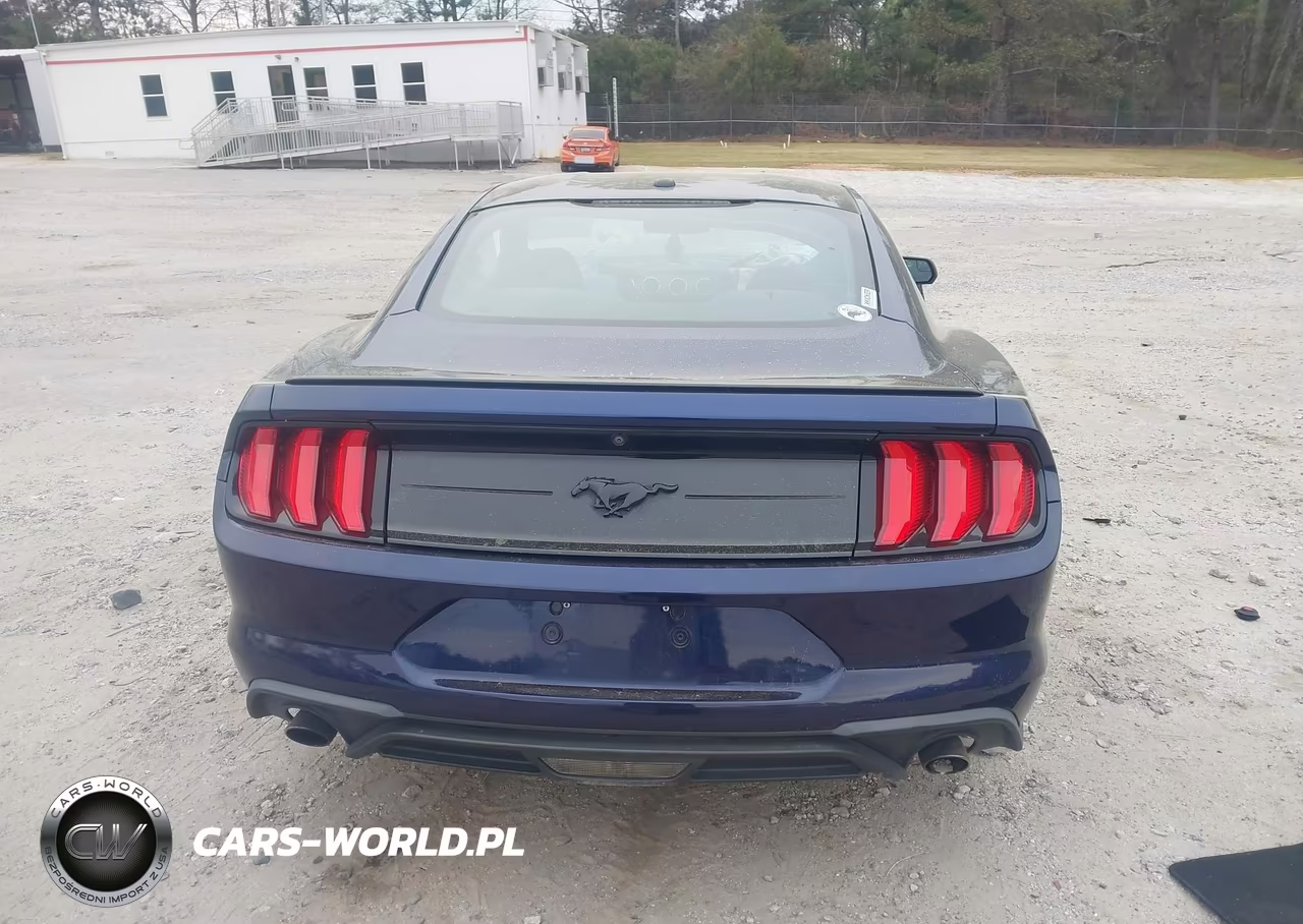 2019 Ford Mustang Ecoboost VIN:1FA6P8TH7K5200603 - 16