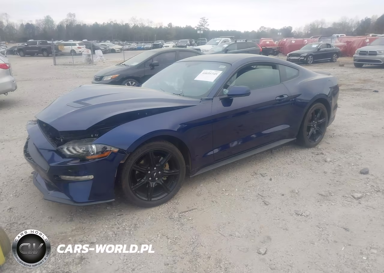 2019 Ford Mustang Ecoboost VIN:1FA6P8TH7K5200603 - 2