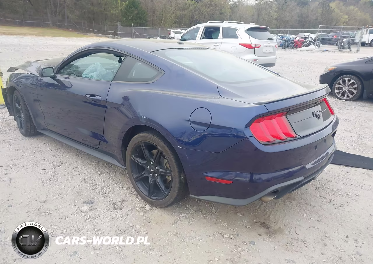 2019 Ford Mustang Ecoboost VIN:1FA6P8TH7K5200603 - 3