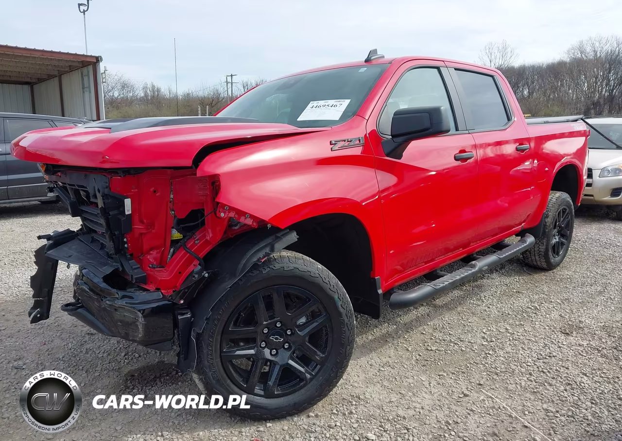 2024 Chevrolet Silverado 1500 4Wd Short Bed Custom Trail Boss VIN:3GCPDCEK9RG187892 - 2
