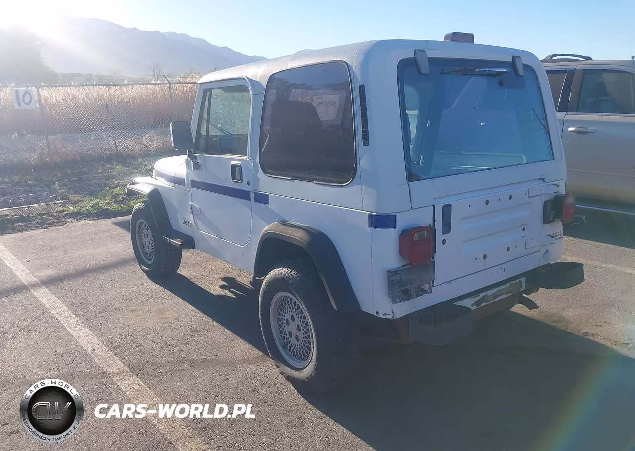 1994 Jeep Wrangler - Yj Se VIN:1J4FY29S9RP415948 - 3