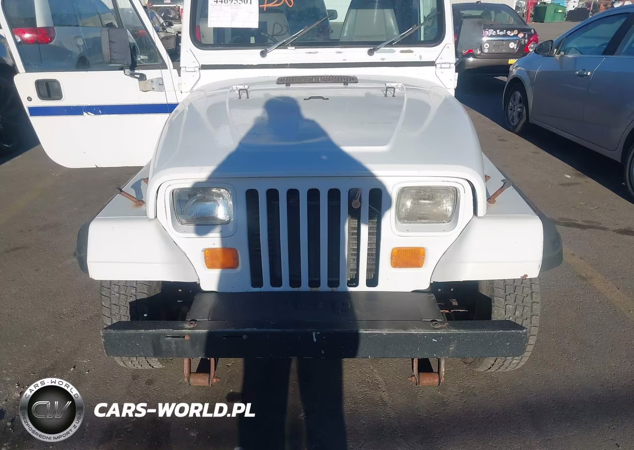 1994 Jeep Wrangler - Yj Se VIN:1J4FY29S9RP415948 - 6
