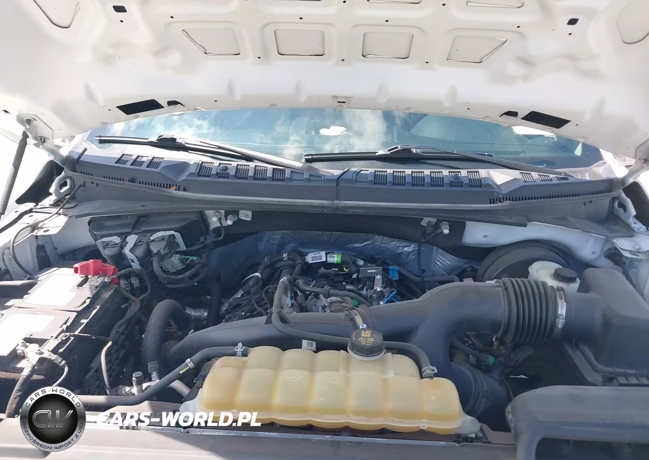 2020 Ford F-150 Xl VIN:1FTEW1CP6LFC64327 - 10