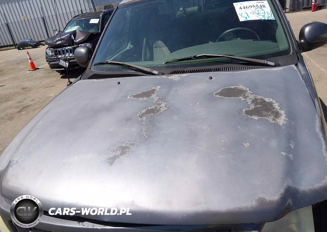 2003 Ford F-150 Lariat-Xl-Xlt VIN:1FTRX17W33KA47065 - 10