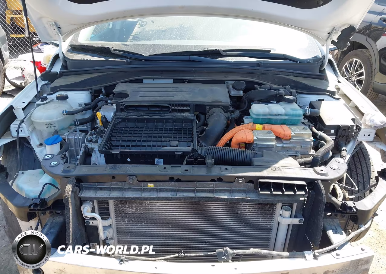 2019 Hyundai Ioniq Hybrid Sel VIN:KMHC75LC5KU105782 - 10