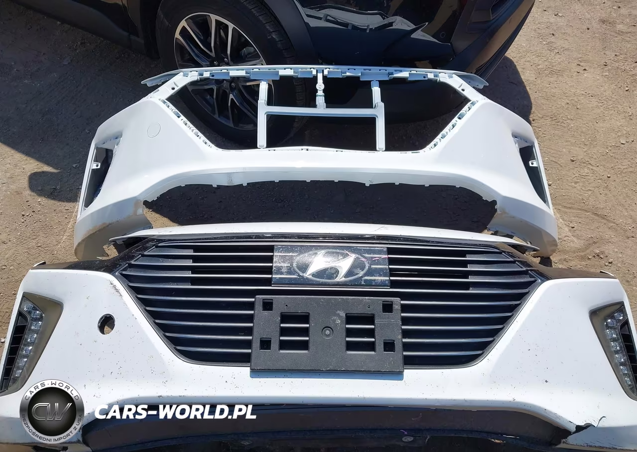 2019 Hyundai Ioniq Hybrid Sel VIN:KMHC75LC5KU105782 - 12