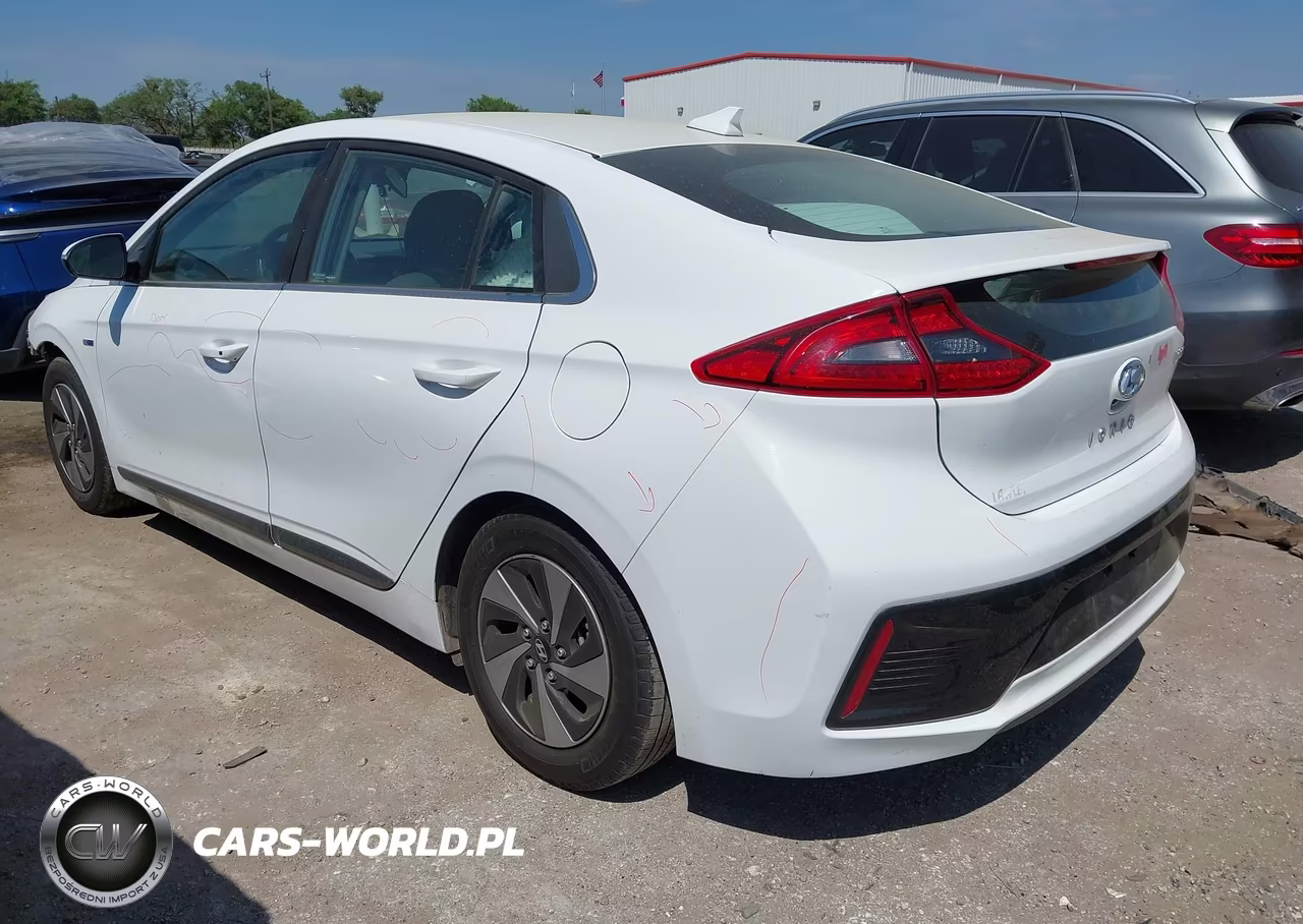 2019 Hyundai Ioniq Hybrid Sel VIN:KMHC75LC5KU105782 - 3