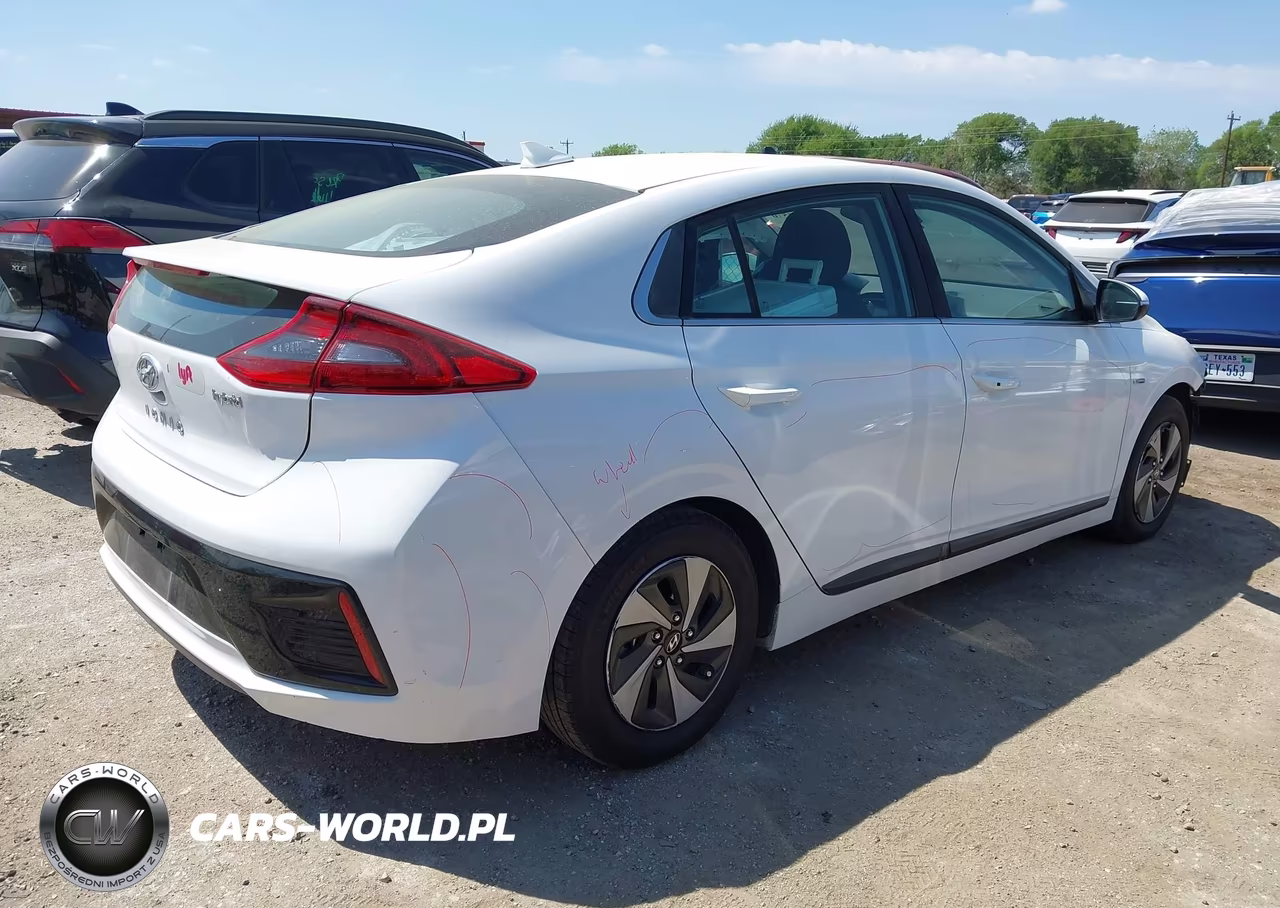 2019 Hyundai Ioniq Hybrid Sel VIN:KMHC75LC5KU105782 - 4