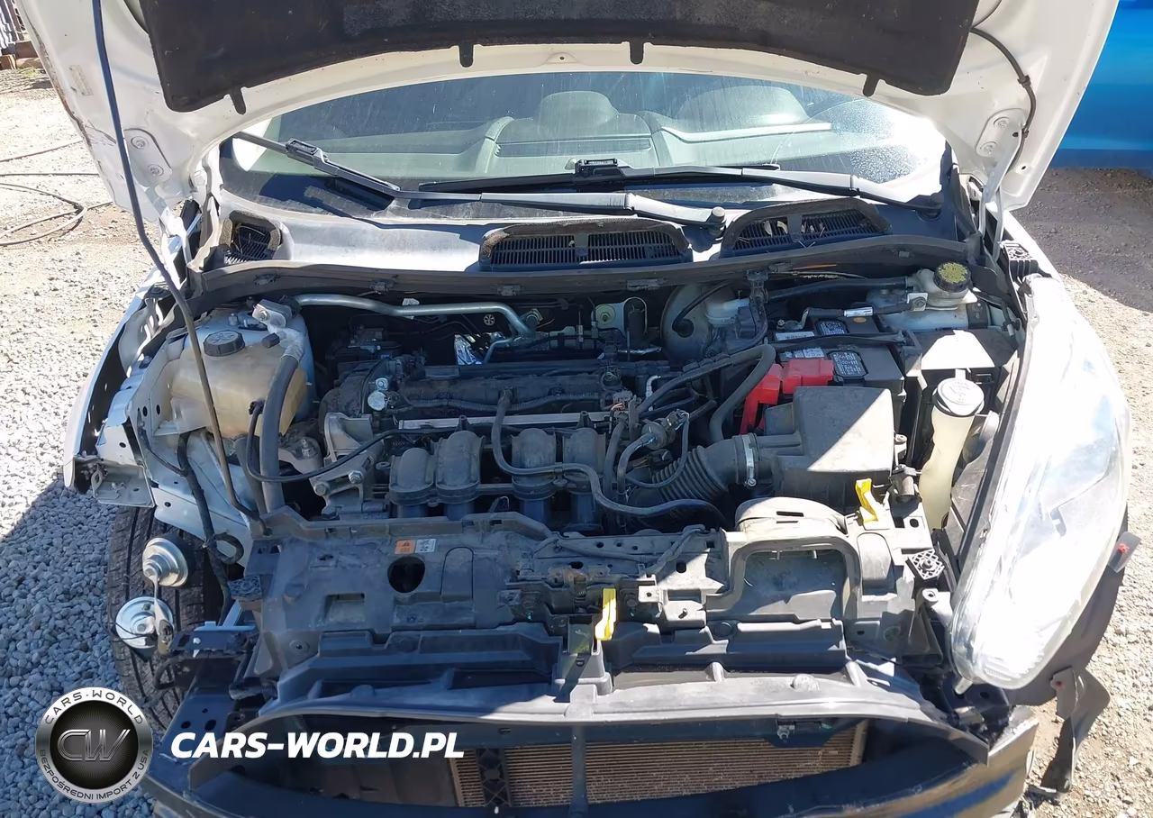 2014 Ford Fiesta Se VIN:3FADP4BJ4EM121246 - 10