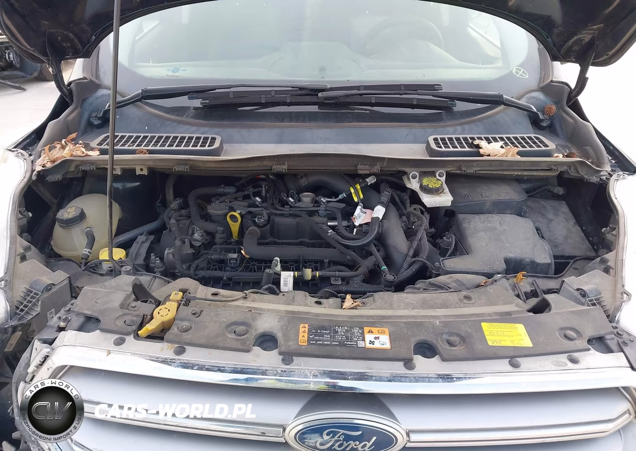 2017 Ford Escape Se VIN:1FMCU0GD5HUB41222 - 10