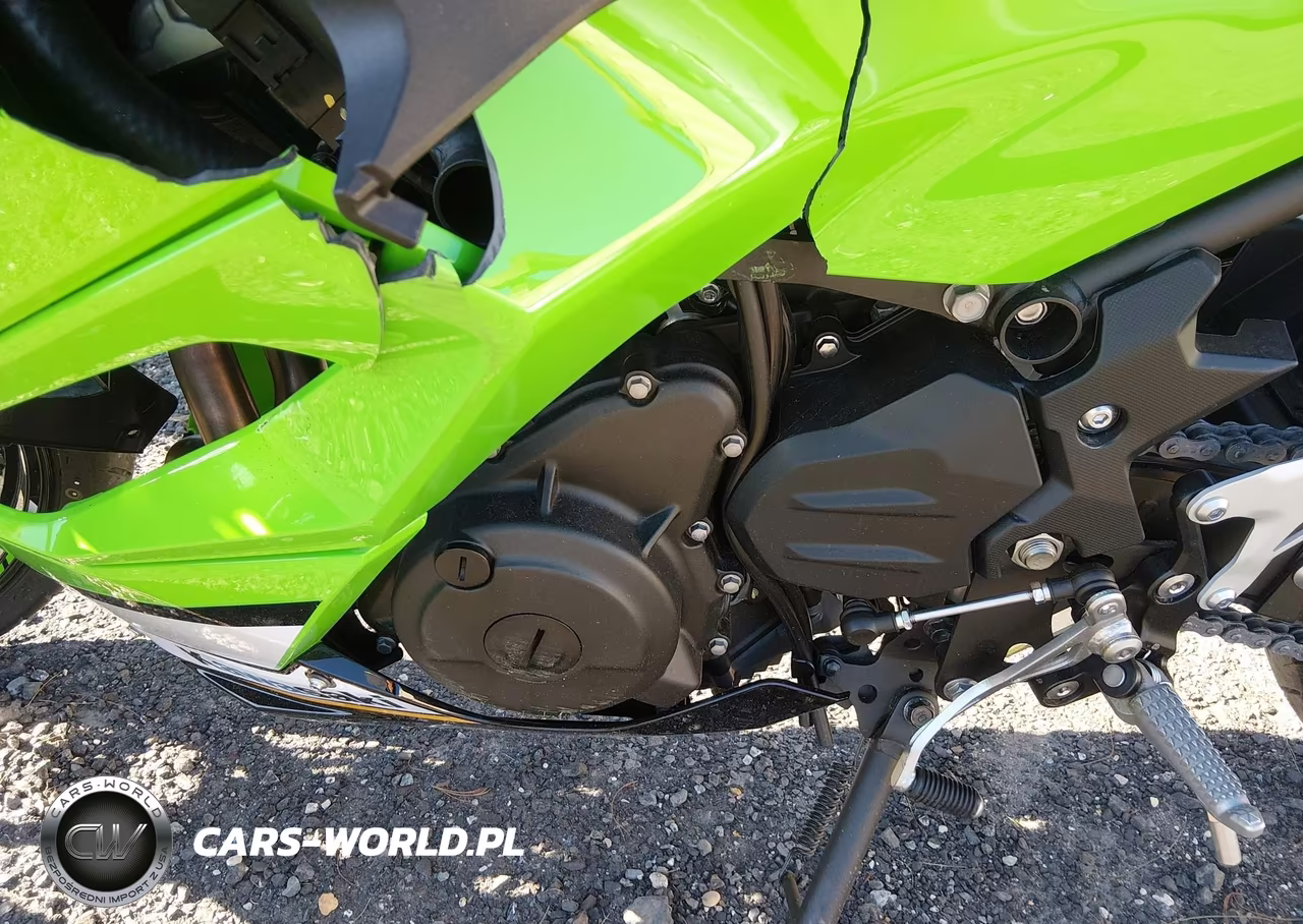 2025 Kawasaki Ex500 A-B VIN:ML5EXGJ13SDA69632 - 9