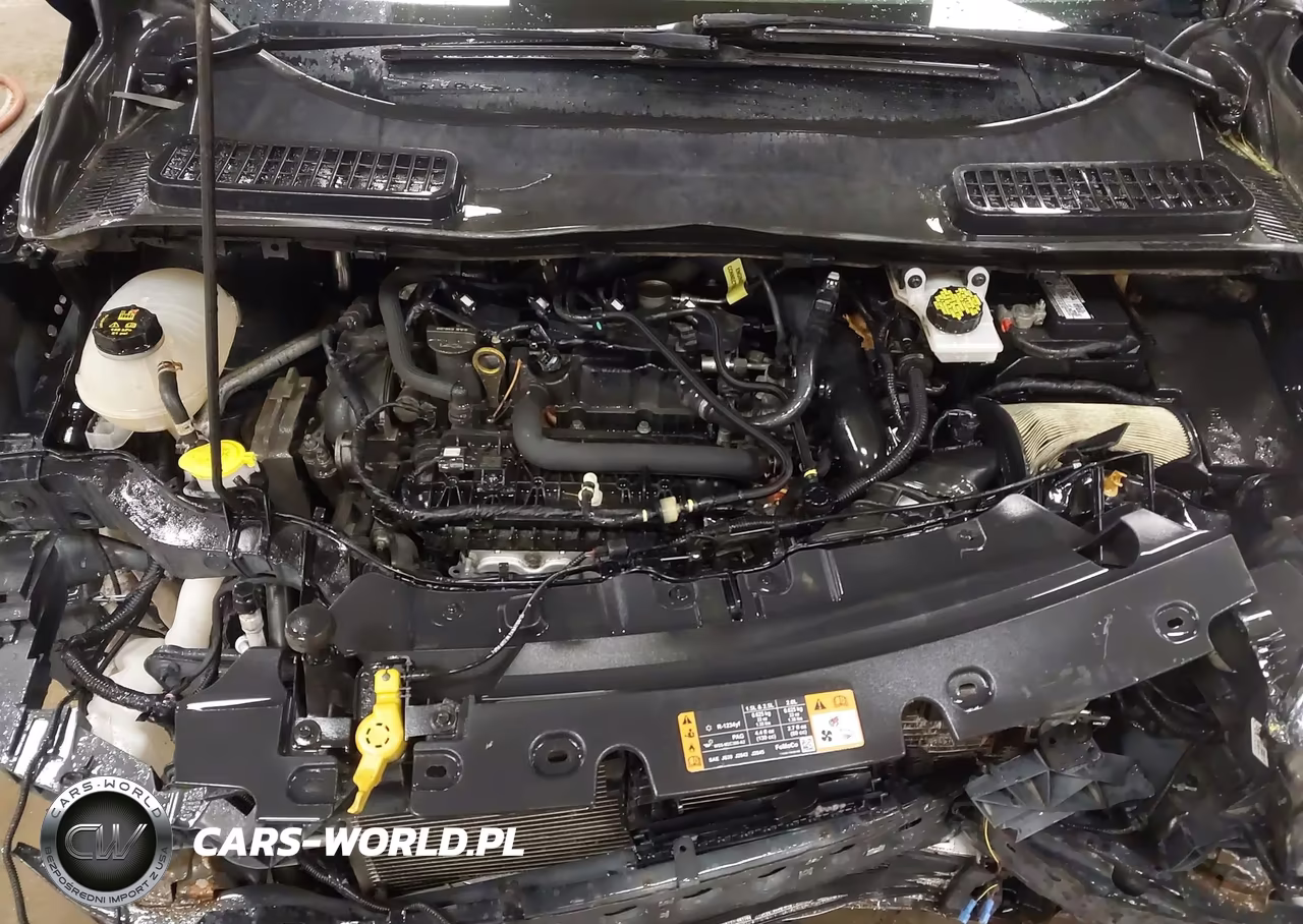 2019 Ford Escape Sel VIN:1FMCU9HDXKUB90863 - 10