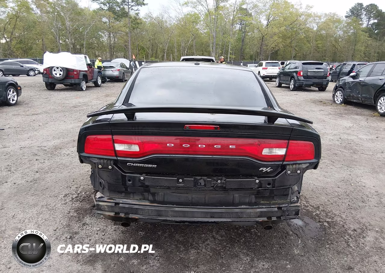 2014 Dodge Charger R-T VIN:2C3CDXCT2EH159299 - 17