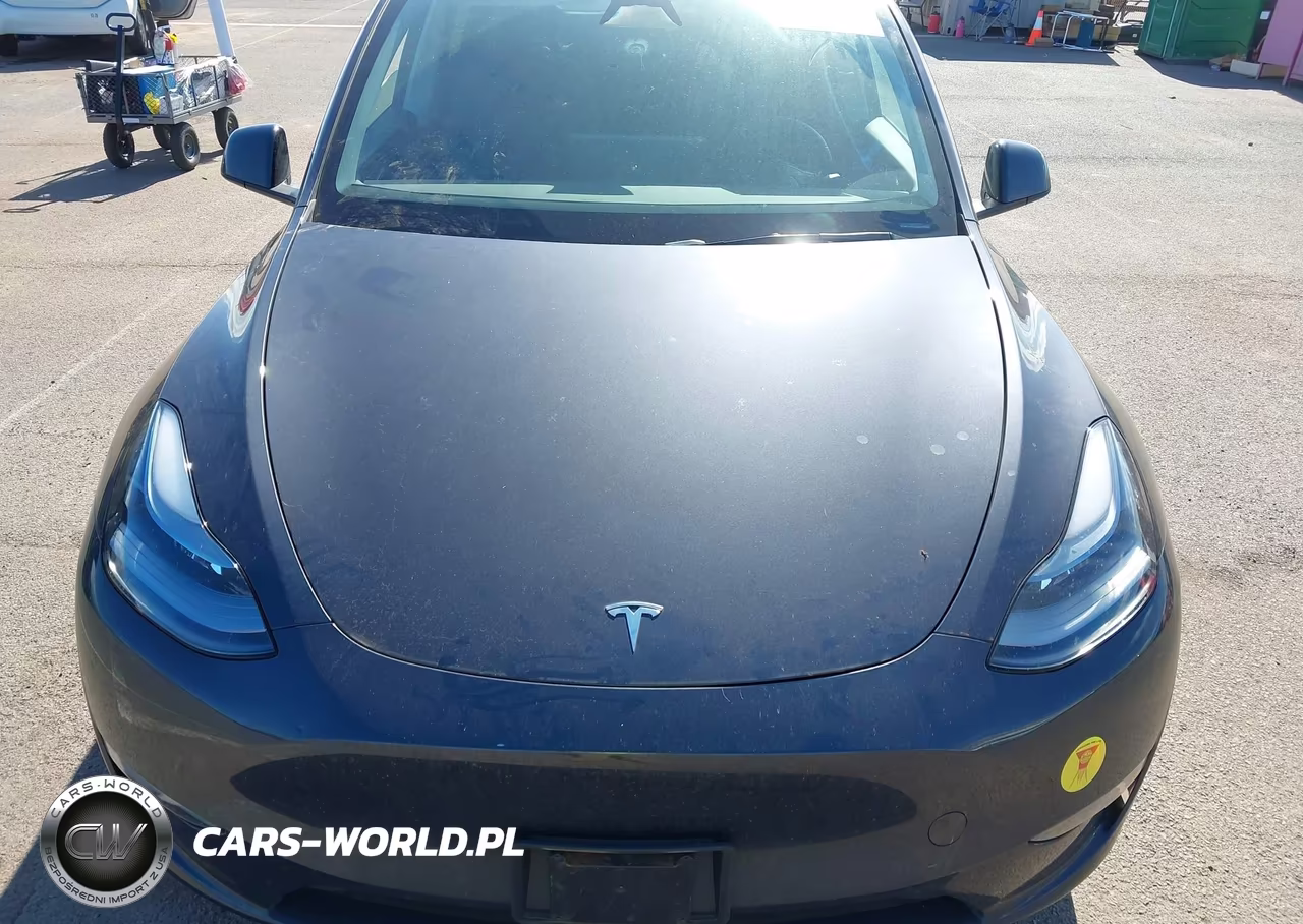 2024 Tesla Model Y Long Range Single Motor Rear-Wheel Drive-Rwd VIN:7SAYGDED5RF208894 - 10